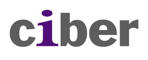 Tim Montgomery to Lead CIBER's North American Delivery Operations - top government contractors - best government contracting event
