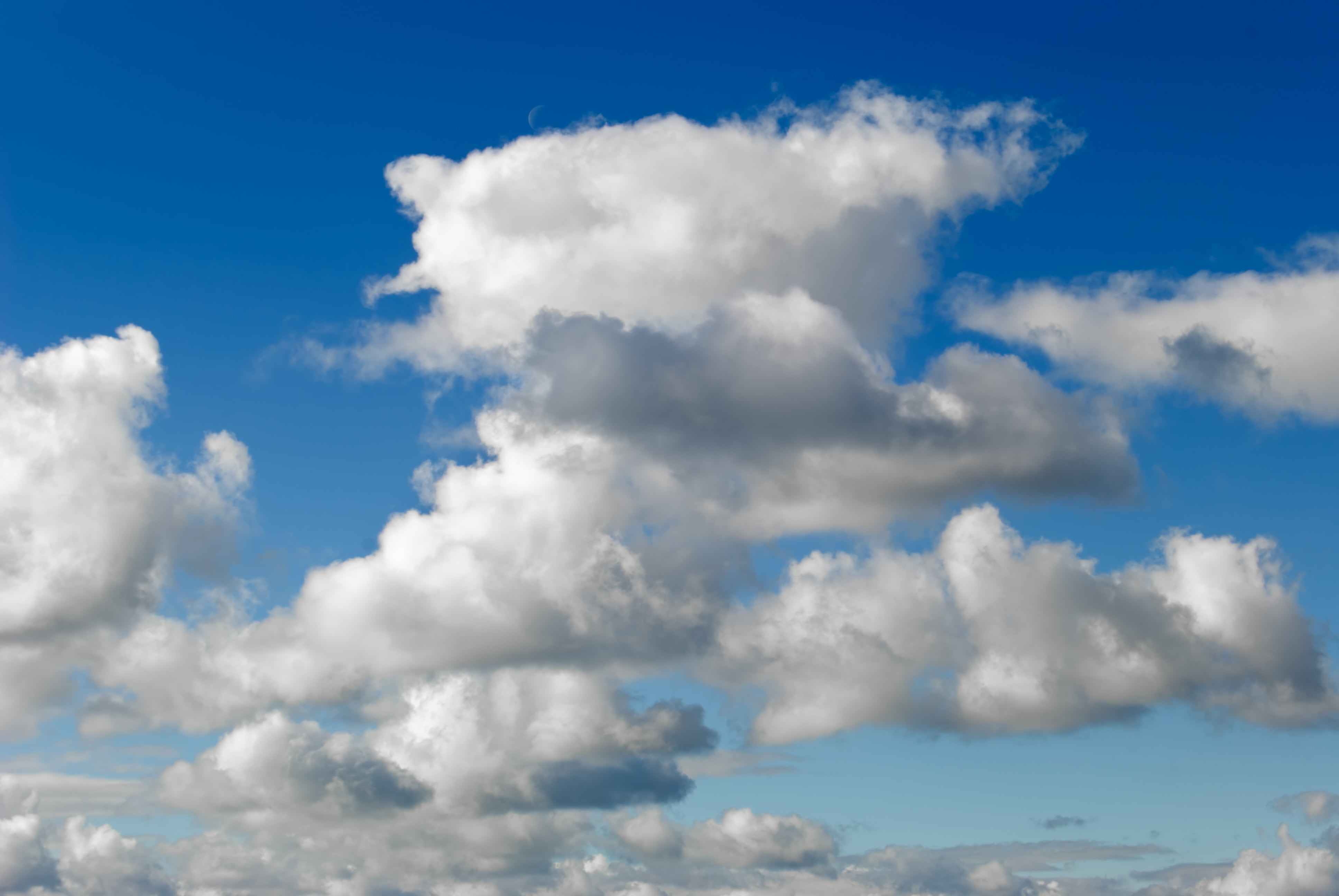 US Small, Medium Businesses Show Interest in the Cloud