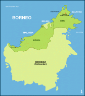 Borneo Sees Spike in Cyber Crime - top government contractors - best government contracting event