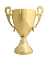 Parsons Receives 2011 Project Achievement Award - top government contractors - best government contracting event