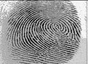 NIST Adds DNA, Footprints to Biometric Standard - top government contractors - best government contracting event