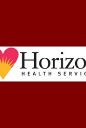 Healthcare Provider Horizon Runs Mental Ilness, Drug Recovery Programs - top government contractors - best government contracting event