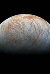 NASA JPL Opens Solicitation for 'Europa' Lander Camera Tech - top government contractors - best government contracting event
