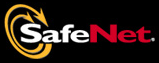 SafeNet Appoints Steve Messick SVP of Worldwide Sales - top government contractors - best government contracting event