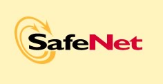 SafeNet Reshuffles Executive Team for Cloud, Security Plans - top government contractors - best government contracting event