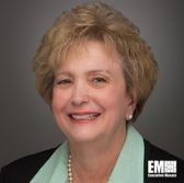 Executive Profile: Roseanne Cinnamond, ViON VP of Industry Relations - top government contractors - best government contracting event