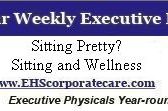 Sitting Pretty: Sitting and Wellness - top government contractors - best government contracting event
